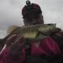 hatfish-october-2012.jpg